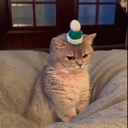 AngryCat Discord emoji