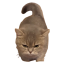 Mad Discord emoji