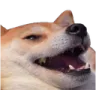 lily_kek