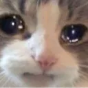 Crycat2 Discord Emoji