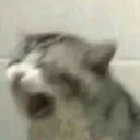 BF_scream