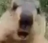 HUH