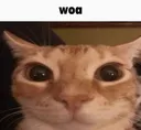 woa