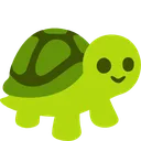 SAP_Turtle