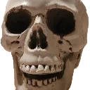 bro