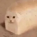breadcat