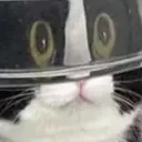 OwO OwO