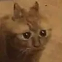 scaredbutokay