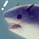surprisedshark