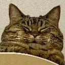 squishy