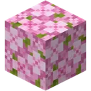 4215minecraftcherryleaf Discord Emoji
