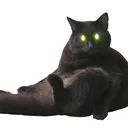 Untitled3_20231006142409