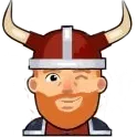 VikingWinkMale