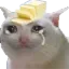 catbutter Discord Emoji