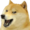 dogwow