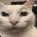 deviouscat