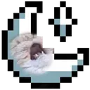 1catto