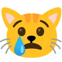 cat_cry