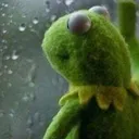 kermitdeszcz