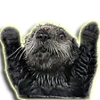 otterblitz