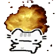 catBOOM
