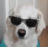 swag swag