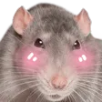 ratflushed