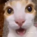 AT_holymoly