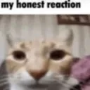 honest_reaction