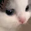 WHA