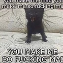 Madcat MadCat Discord Emoji