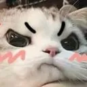 Angykitty angykitty Discord Emoji