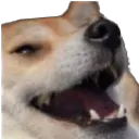 dog_laugh_kek