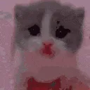 Scared