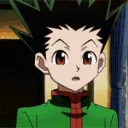 Gon4