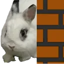 onionLurk