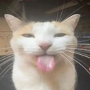silly