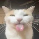 silly