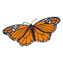 diademuertosmariposa