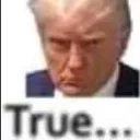 misc_trumptrue