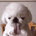 lick
