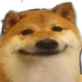 R_Fresco