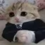 tactbusinesscat