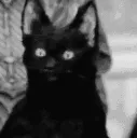evil_laugh evil_laugh