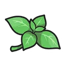 mint