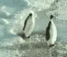 2_penguinslap