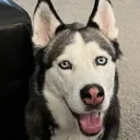 excitement