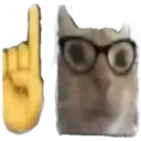 catbotan