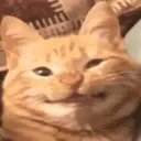 heeeeyyy heeeeyyy