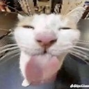 blehhh
